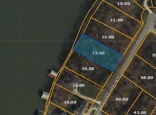 Spring Crossing Dr, Spring City, TN 37381