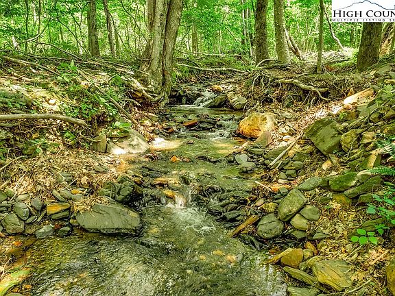 4th image of 157 Cabin Creek Lane