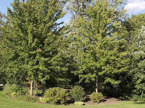 4th image of 325 Chatelaine Ct