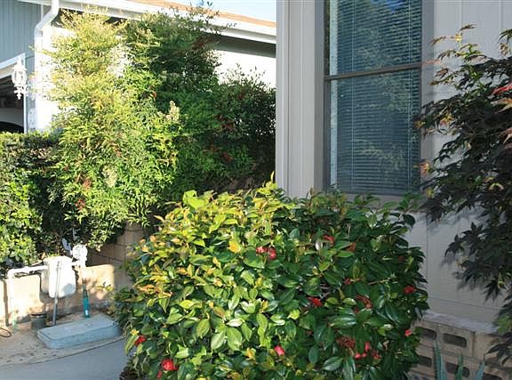 Approaching front door walkway