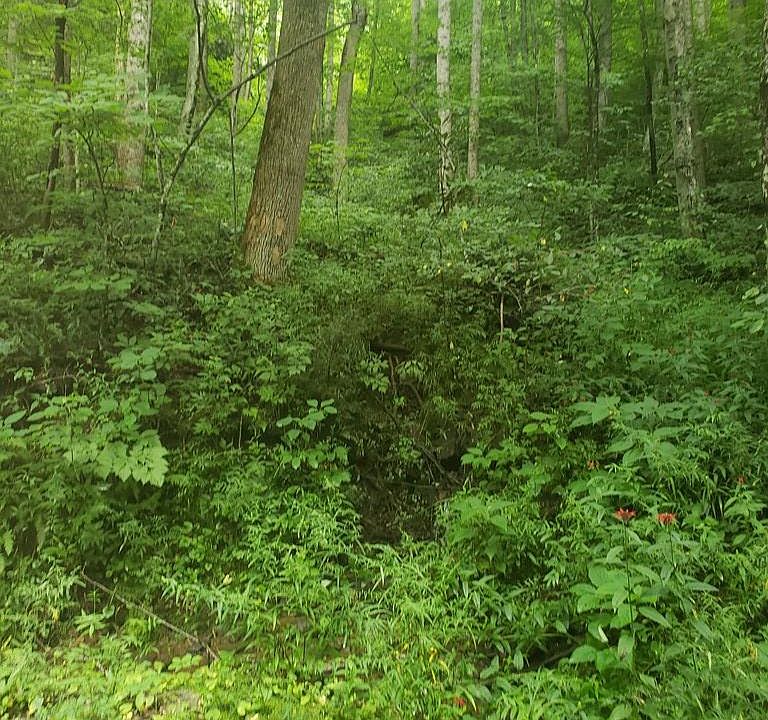 2nd image of 0 Orchard Hl