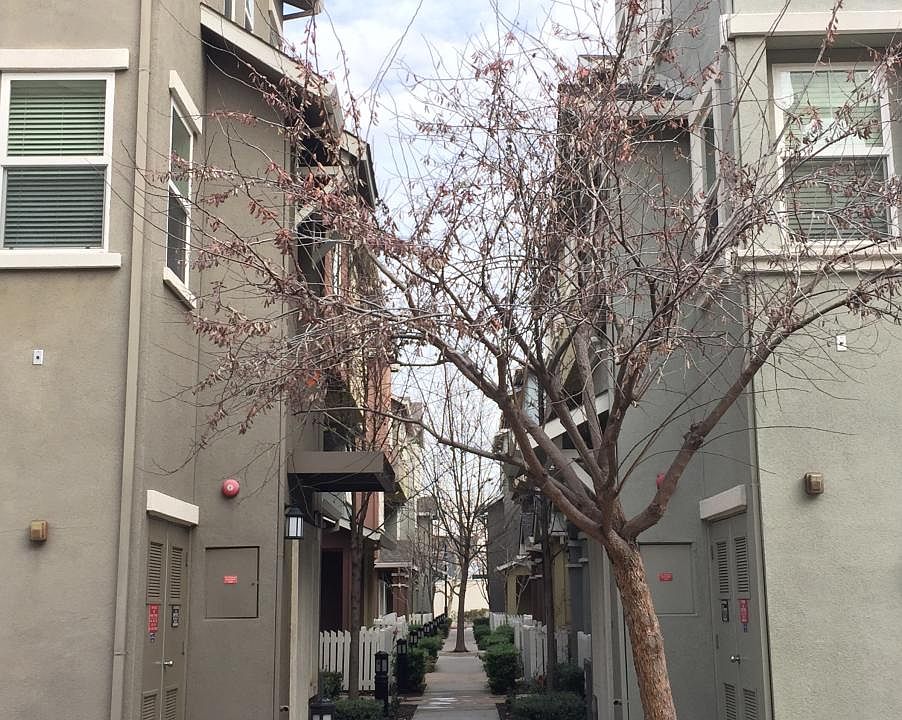 1st image of 938 Alta Mar Ter
