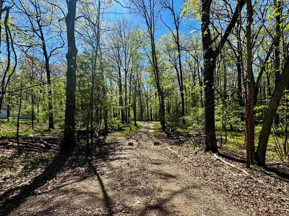 4950 Squirrel Run, Farwell, MI 48622