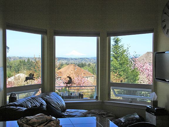 Mt Hood View