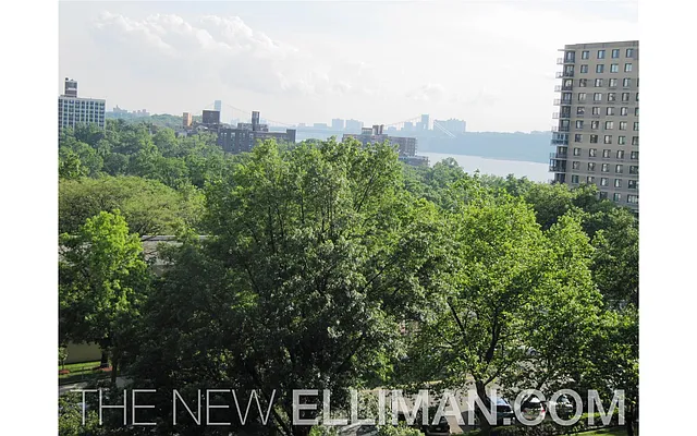 Sold by Douglas Elliman | media 10