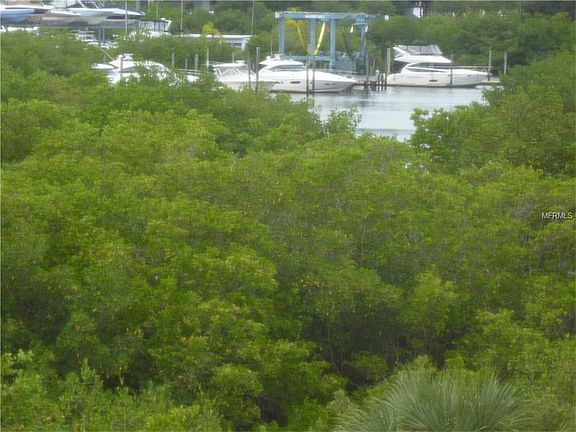 4th image of 3200 Cove Cay Dr Unit 4B