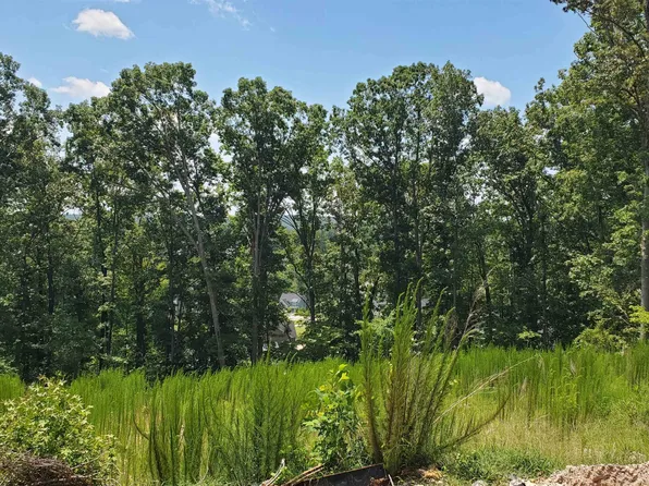 289 W Beech Slope Ct, Chapel Hill, NC 27517