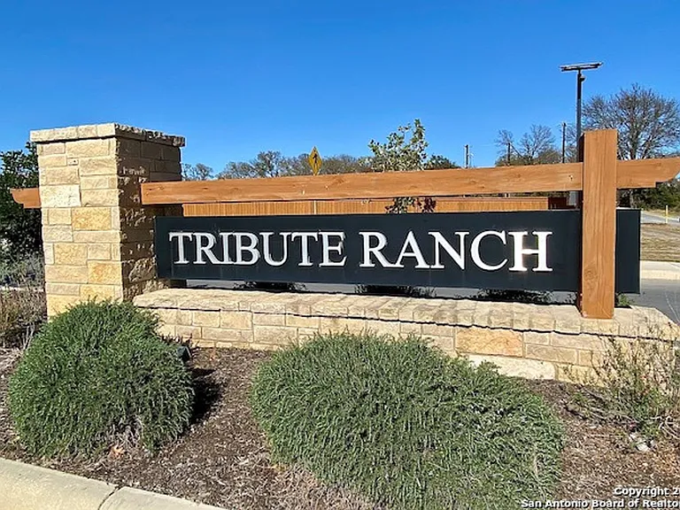 11647 Tribute Oaks — Photo 24