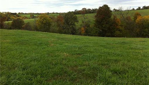 1st image of 989 Highway 412