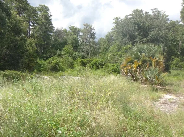 TAMARIND DRIVE, LAKE WALES, FL 33898