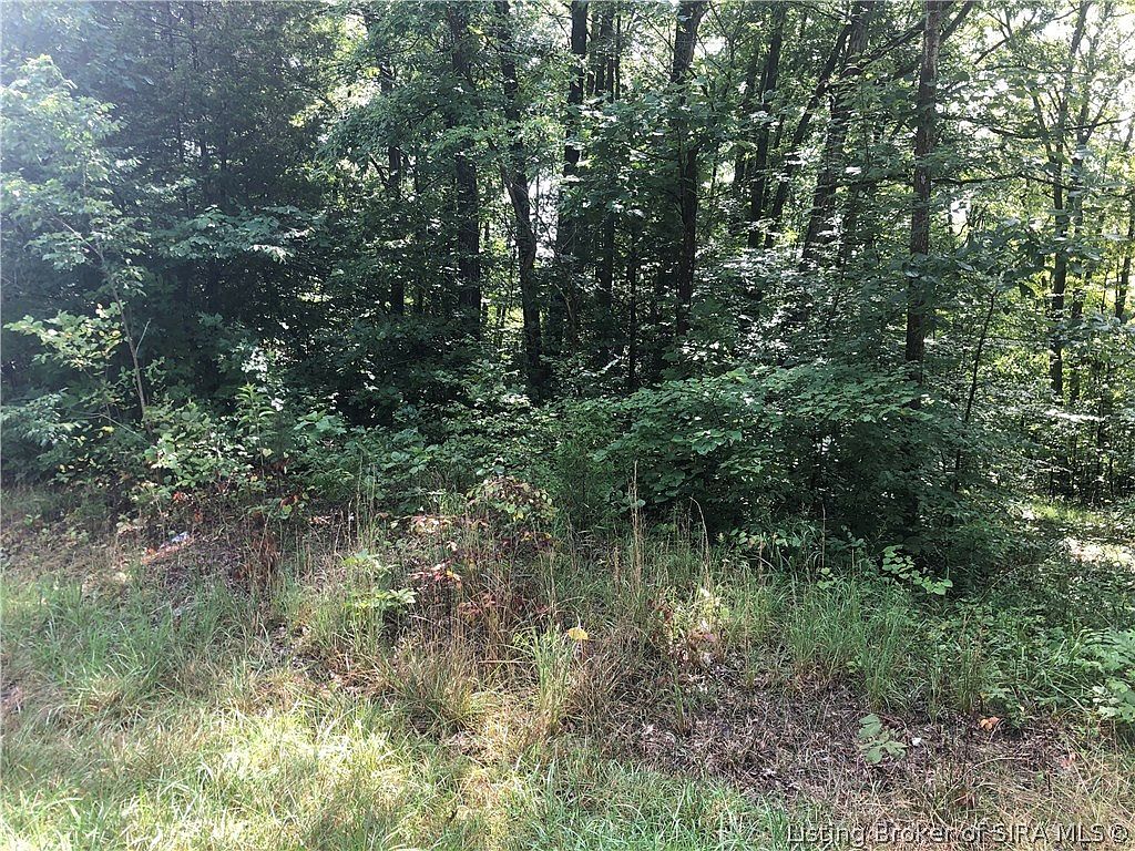 St. Rd. 64, Birdseye, IN 47513 Zillow