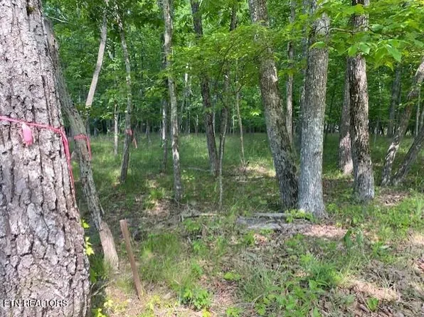 11 Rolling Green Cir, Fairfield Glade, TN 38558