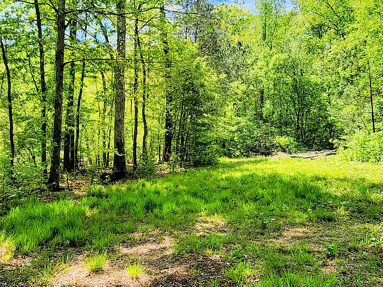 350 Mountain Brook Ct — Photo 17