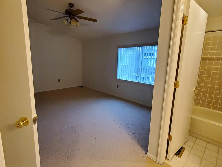 133 Blue Spruce Ct — Photo 29