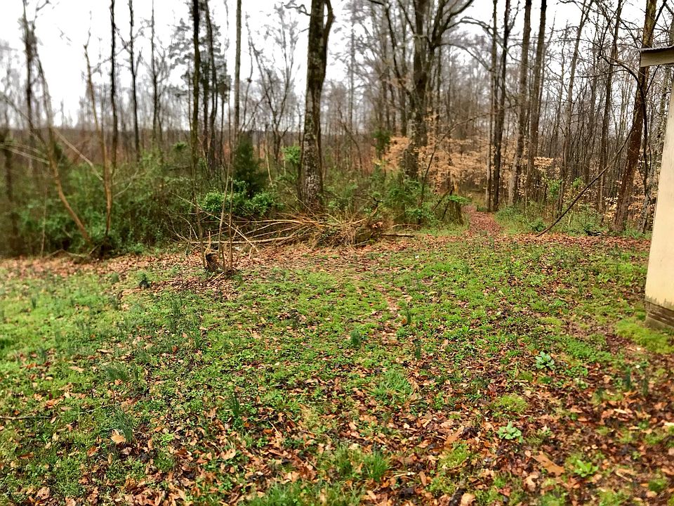 2nd image of 377 Five Springs Church Rd