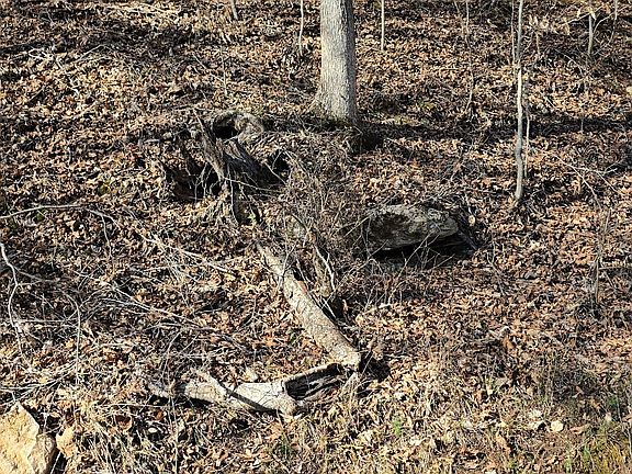 2nd image of 0 Honey Fork Rd Lot 2