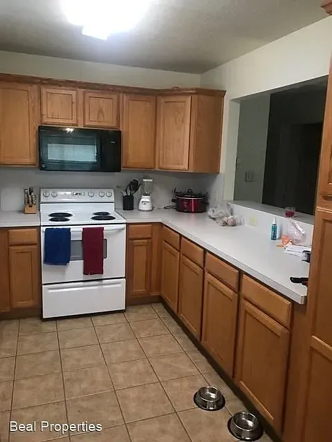 3 bed, 1338 sqft, $1,450 — Photo 3