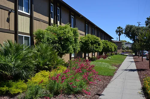 Viva Apartments Photo 1