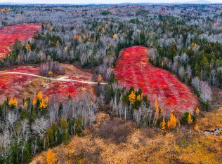 MAP31LOT29 Land-Perkins, Blue Hill, ME 04614