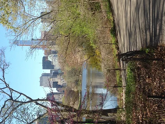 Rented by Keller Williams NYC | media 41