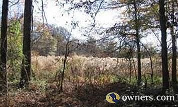 view of the field south of property
