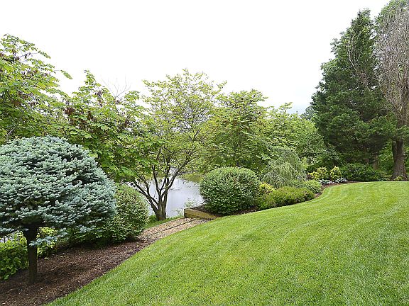 View from Deck