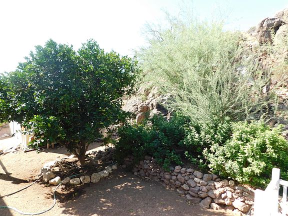 5th image of 260 S Piedra Negra Dr