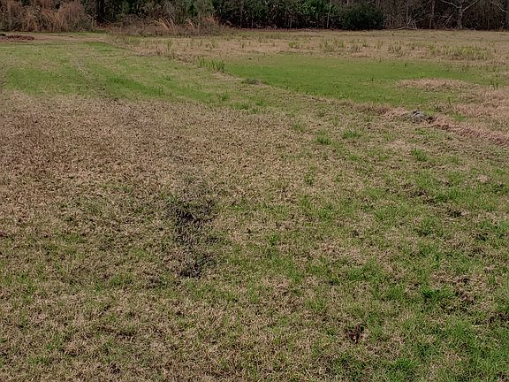 2nd image of 6163 Ayrin Brooke Ln