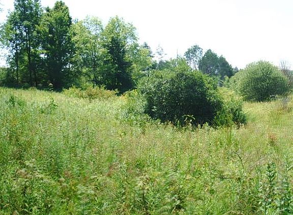 2nd image of Mary Lynne Ln