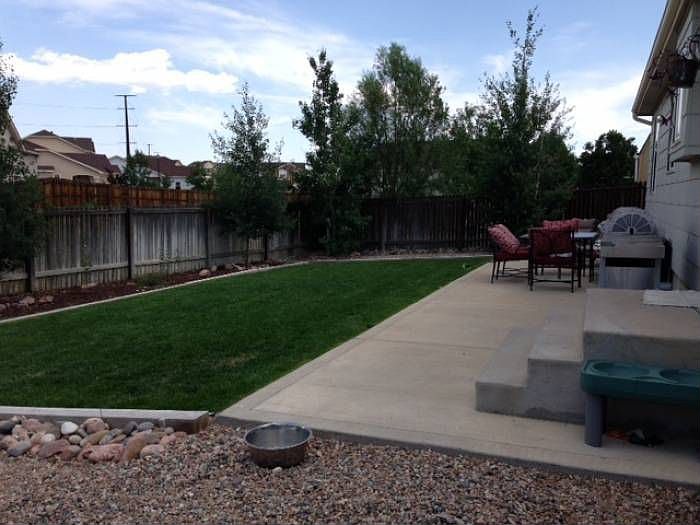 Backyard