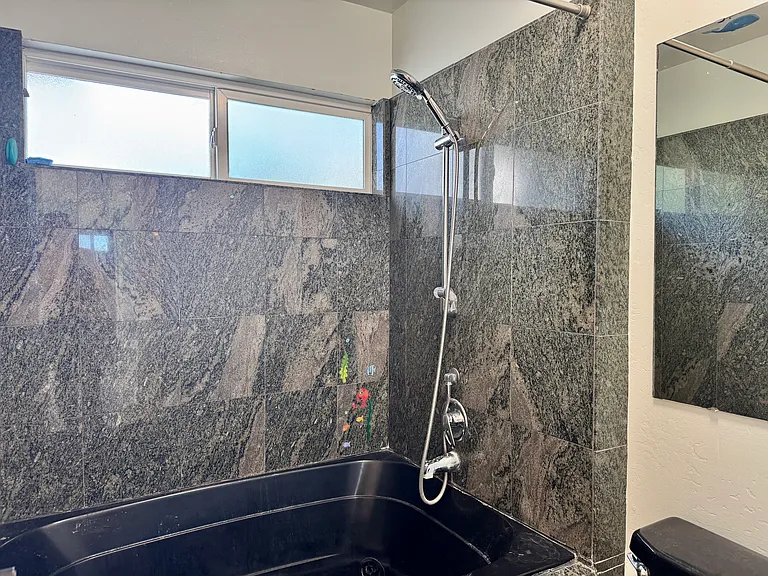 primary suite with tub/shower