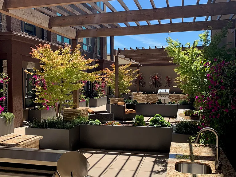 The Terrace at 445 Main — Photo 6