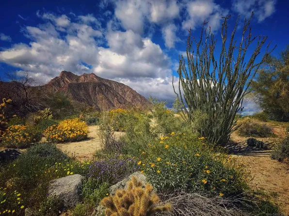 0 Palm Canyon Dr Unit 0, Borrego Springs, CA 92004