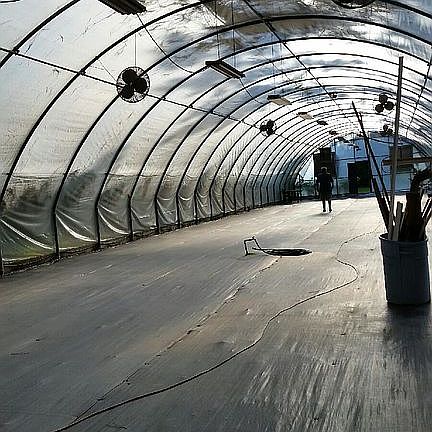 Greenhouse when empty