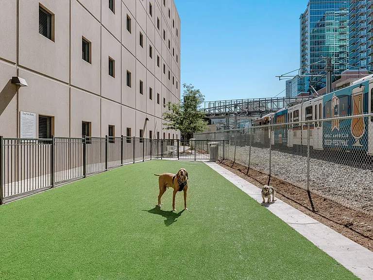 City House Apartments Dog Park with Dogs