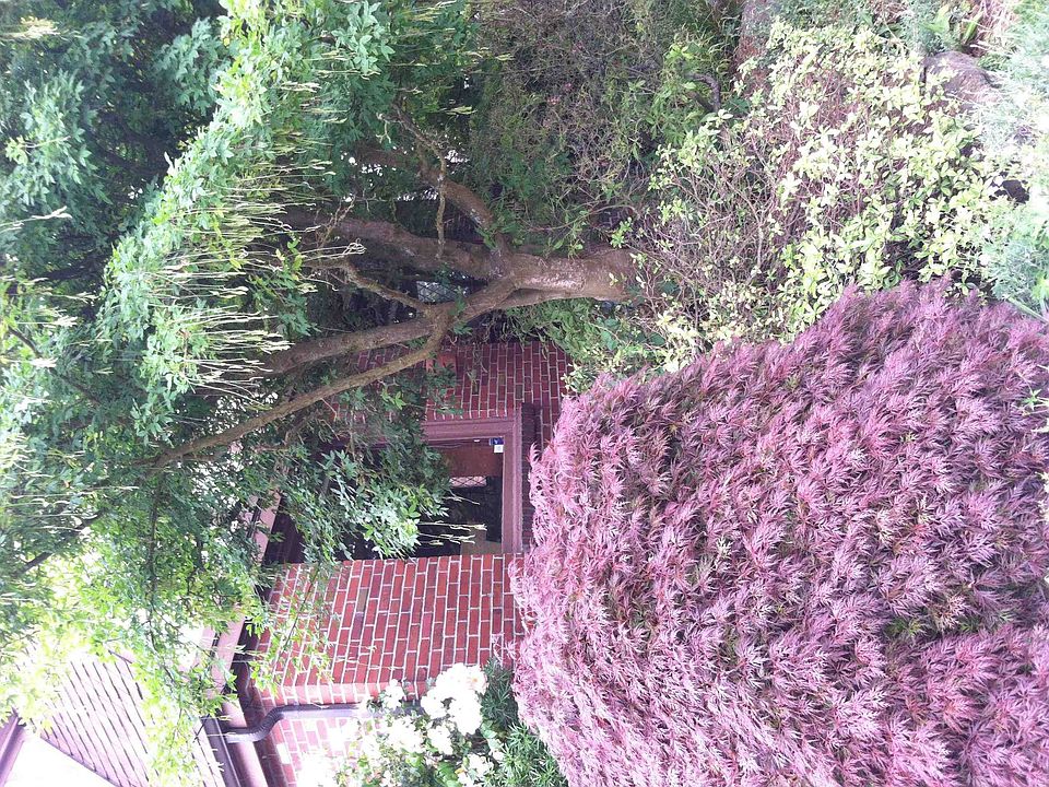 2nd image of 1802 NE 80th St