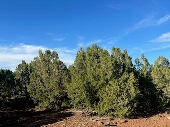 8776 Clark Rd, Show Low, AZ 85901