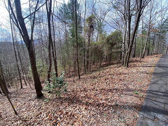 2nd image of 9 Turtle Ridge Trl