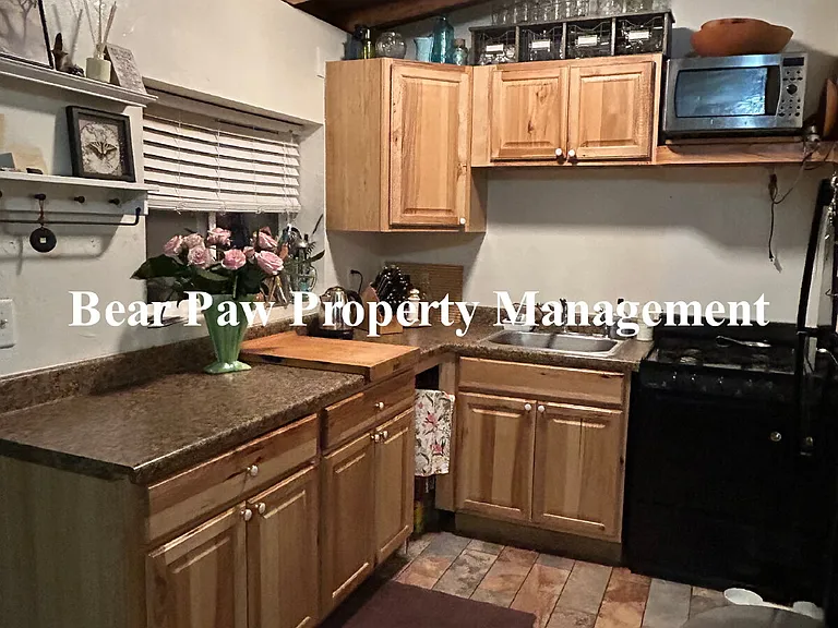 32993 Snowshoe Rd #4 — Photo 8
