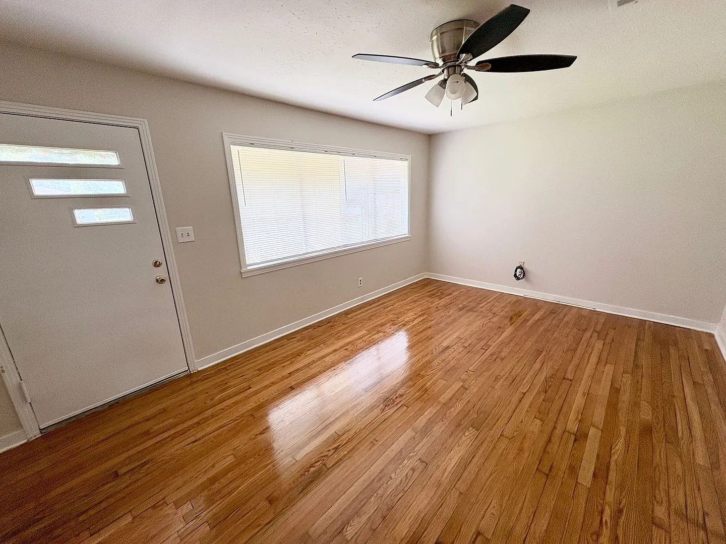 Beautifully Renovated 3-Bedroom Home in Downtown Brandon! — Photo 3