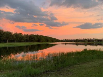 20309 Black Tree LN, Estero, FL, 33928