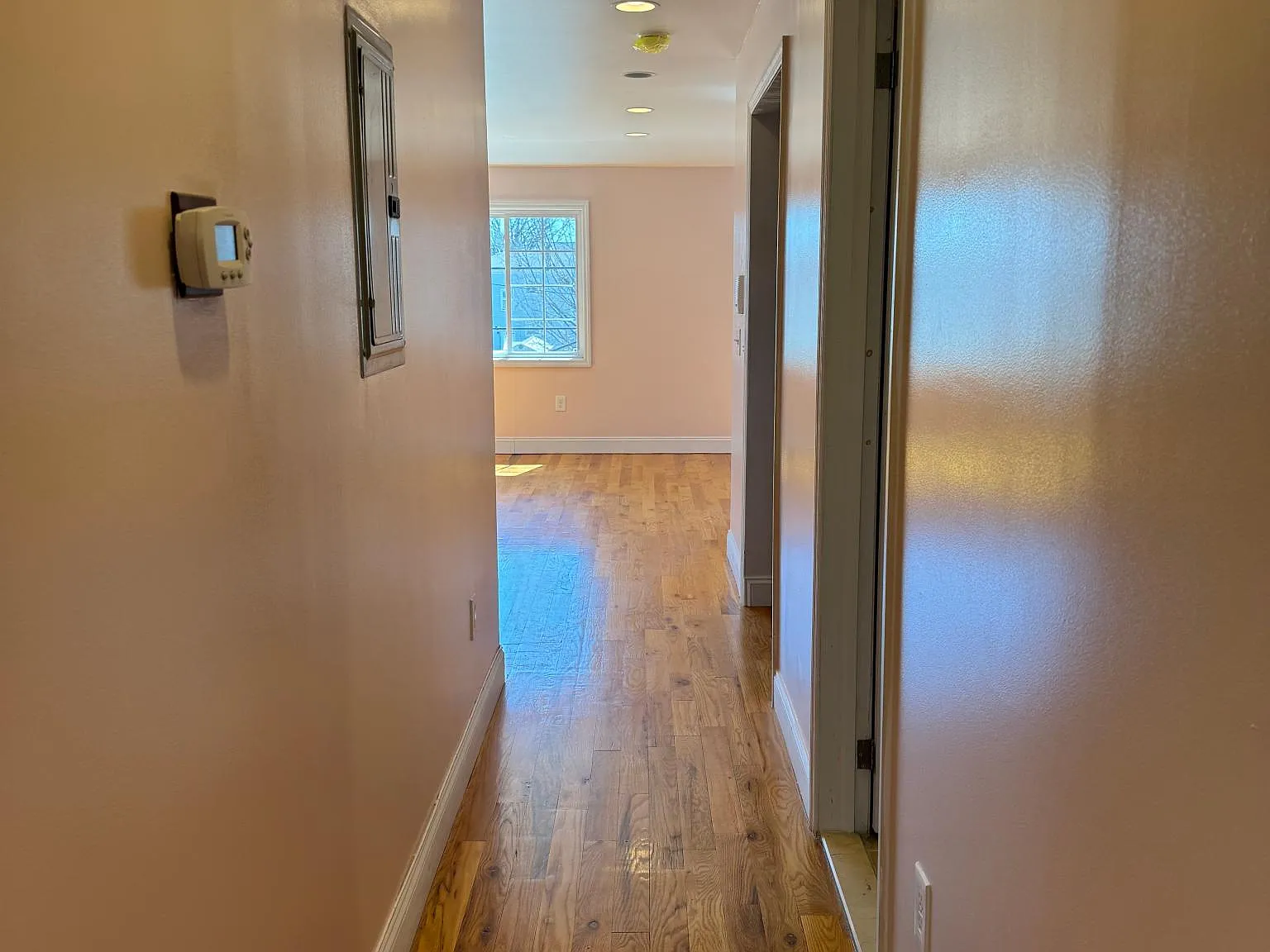 3 bed, 1500 sqft, $3,000 — Photo 4