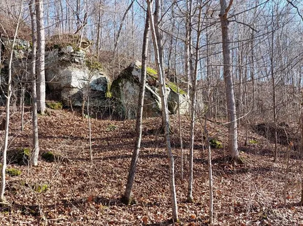 0 E Side Dexter Road Country Rd #10, Rutland, OH 45775