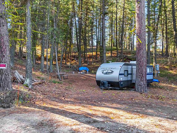 4th image of 5 Bell Flower