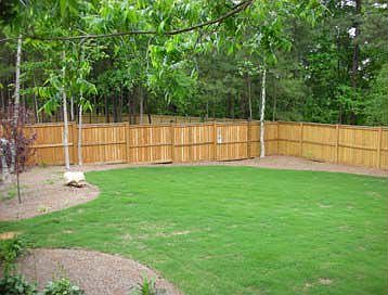 Beautifully landscaped backyard