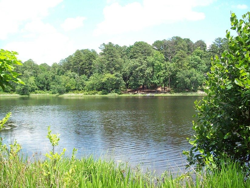 1st image of 250 Dogwood Trail