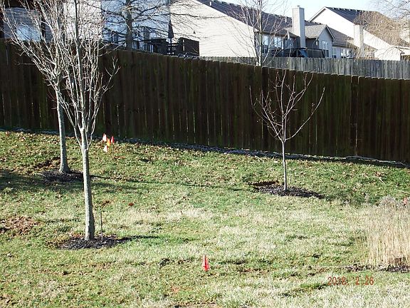2nd image of 4648 Marlberry Pl
