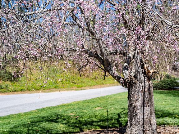 3rd image of 4 Dogwood Rd