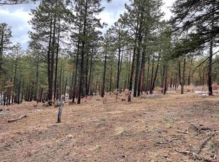 944 Skyline Dr, Bayfield, CO 81122