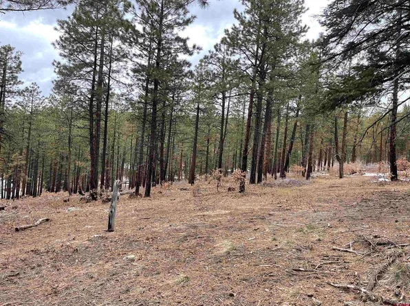944 Skyline Drive, Bayfield, CO 81122